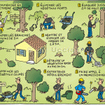 03-05-debroussaillement-regles