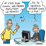 La fibre optique