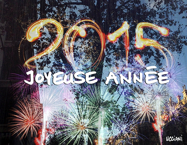 Vœux 2015
