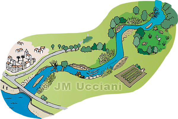 Illustration rivière