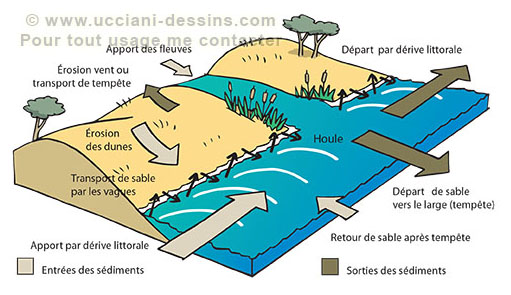Infographies sur l'érosion du littoral