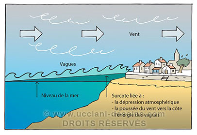Infographies sur l'érosion du littoral